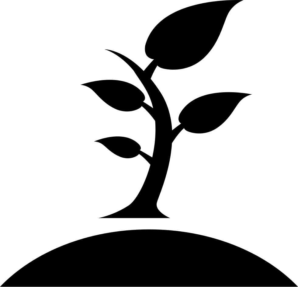 980x943 Forest Land Ownership Png Icon Free Download