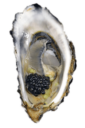 289x432 Oyster With Caviar Icons Png