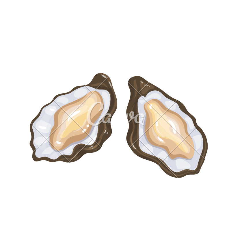 800x800 Oysters Vector Icon