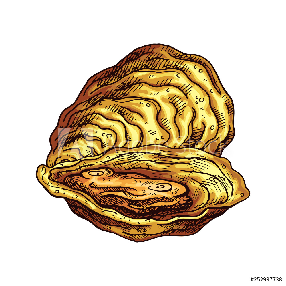1000x1000 Photo Art Print Oyster Isolated Vector Color Sketch Icon
