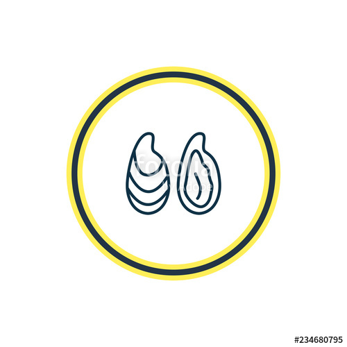 500x500 Vector Illustration Of Oyster Icon Line Beautiful Maritime