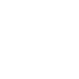 256x256 White Package Icon