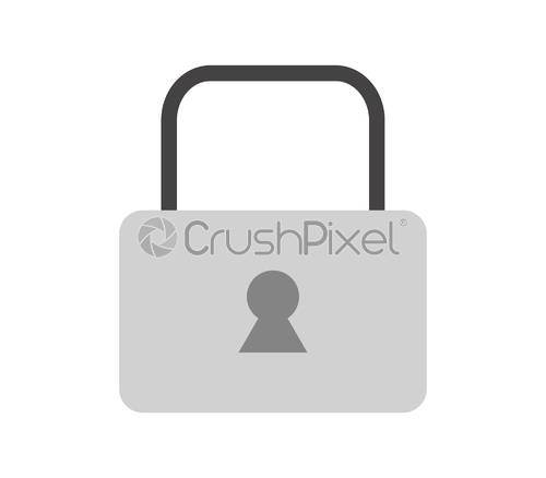 500x438 Padlock Icon, Stock Vector Crushpixel