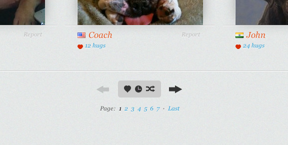 576x290 Icon Based Filtering With Pagination From Petincanvas Patterntap