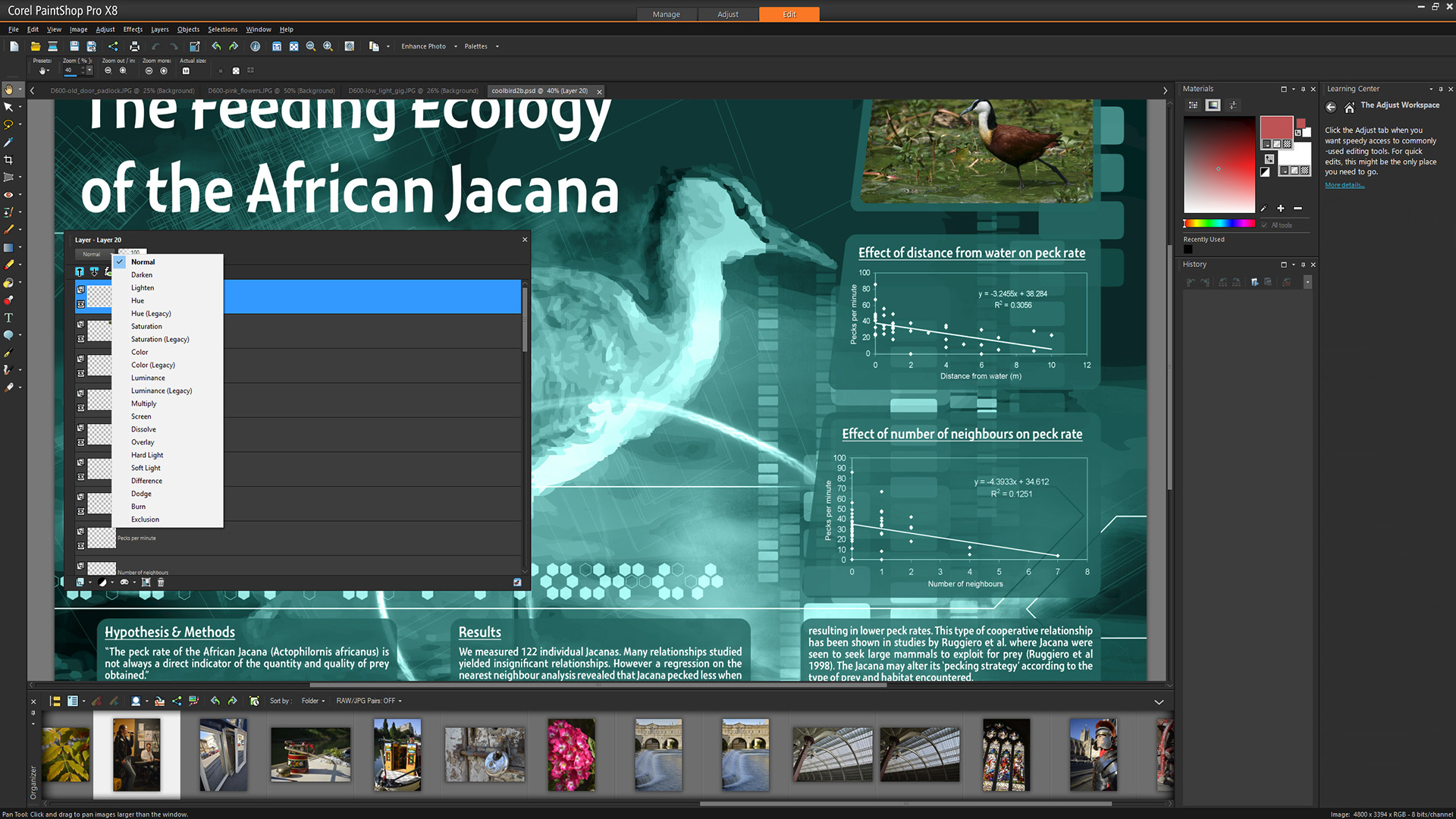Paint Shop Pro Icon at Collection of Paint Shop Pro