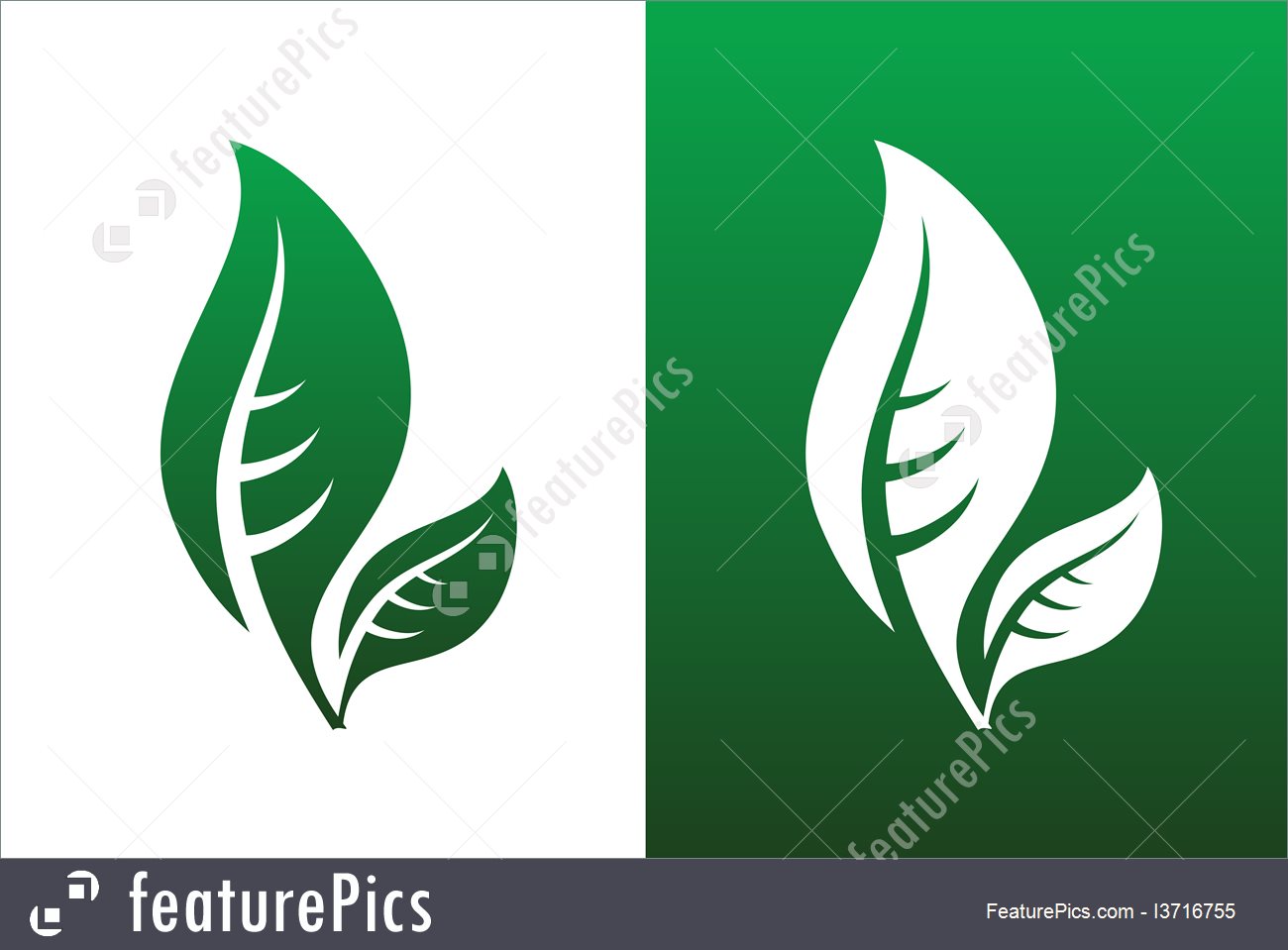 1300x959 Leaf Pair Icon Vector