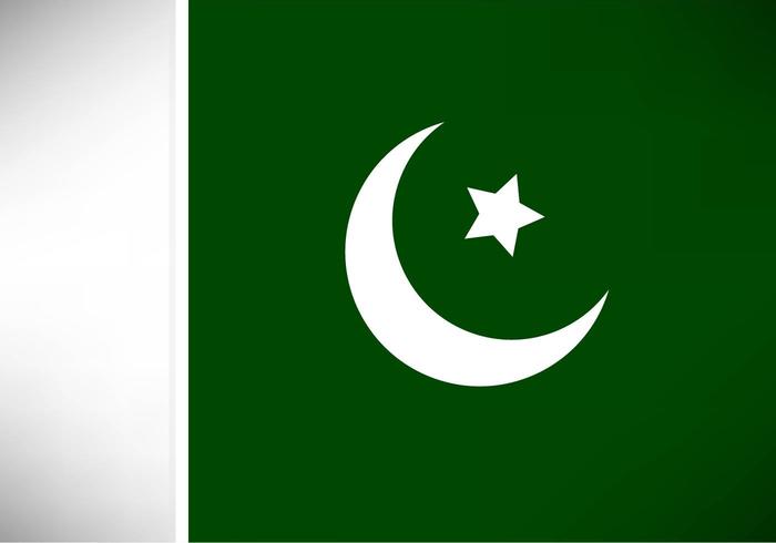 700x490 Free Vector Pakistan Flag