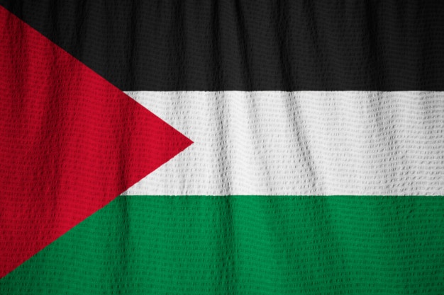 626x417 Palestine Flag Vectors, Photos And Free Download