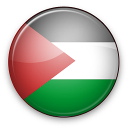 256x256 Palestine Icon