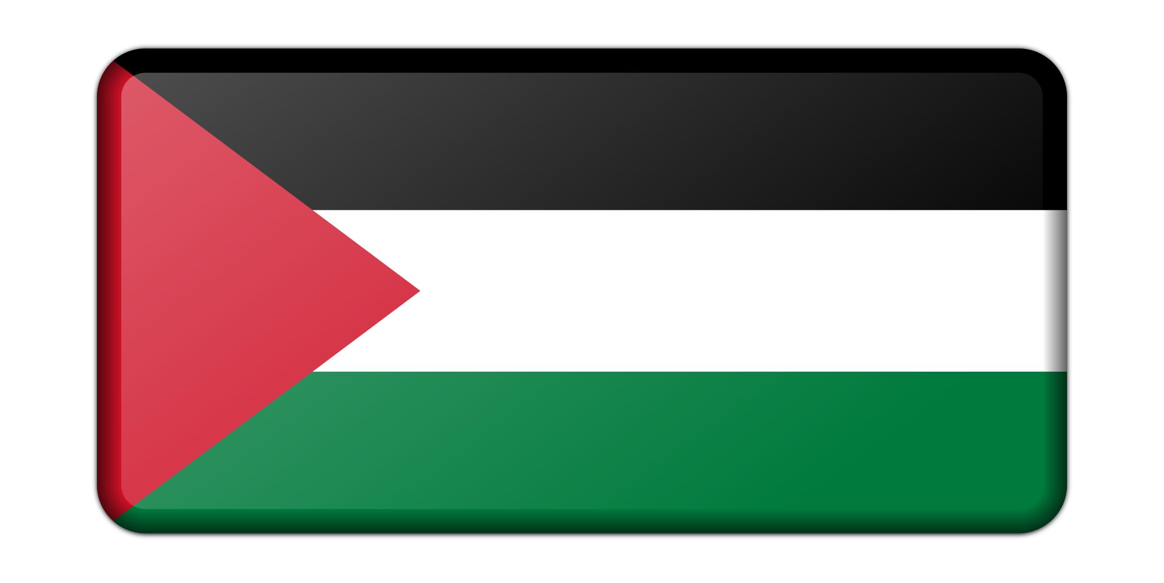 2400x1203 Palestine Flag