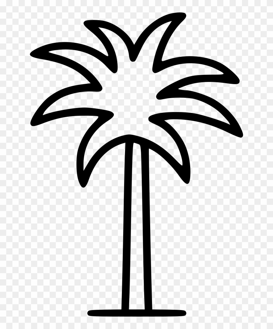 880x1060 Palm Tree Comments
