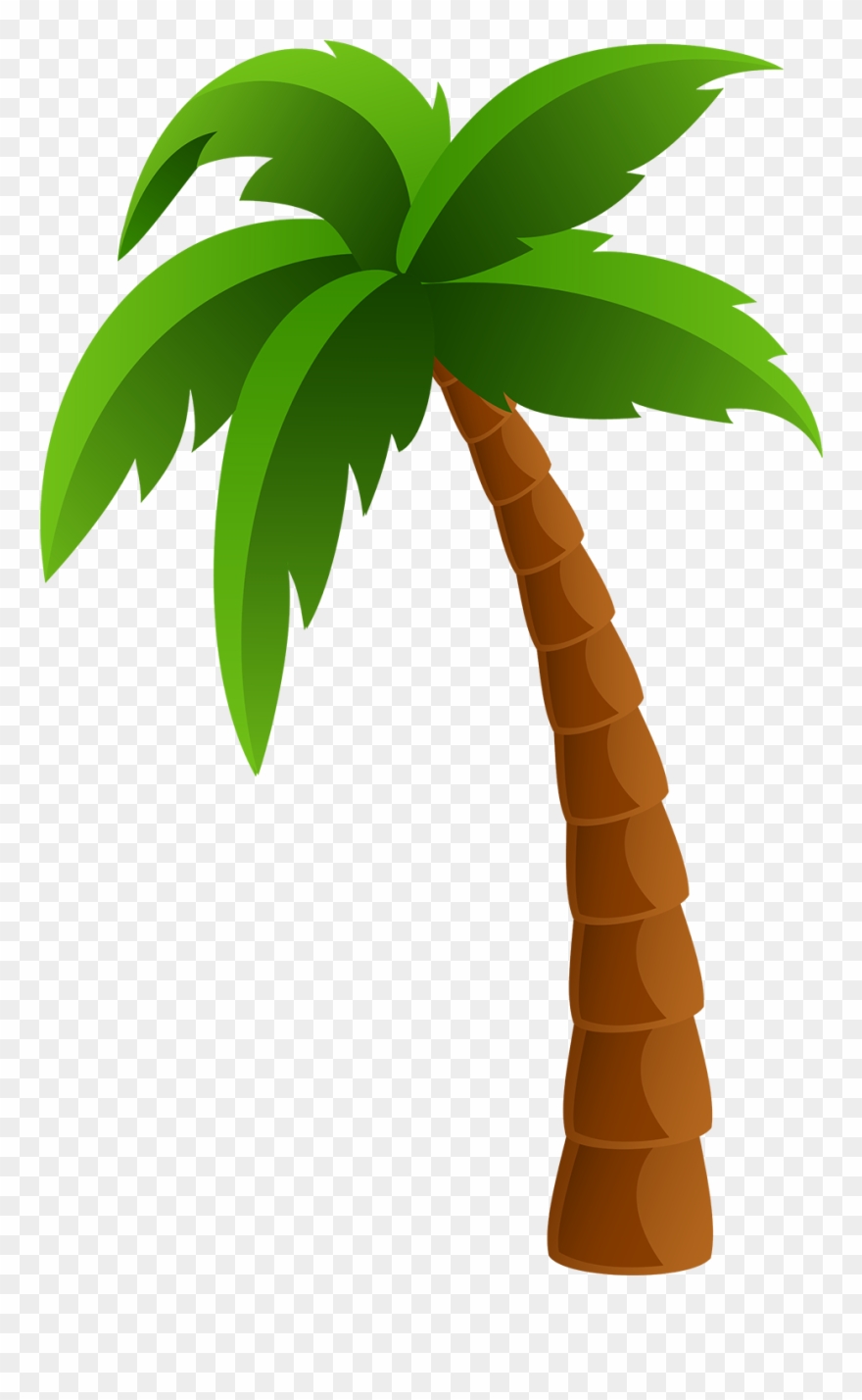 880x1428 Palm Tree Icon Png Clipart
