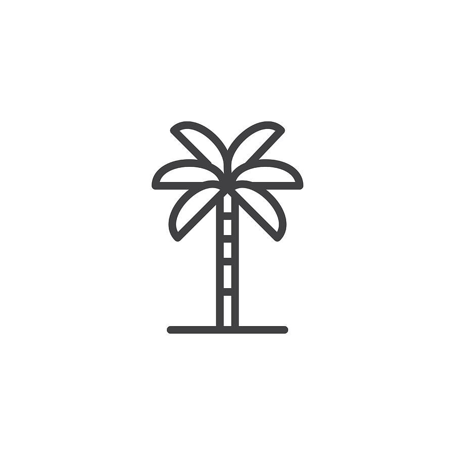 900x900 Palm Tree Outline Icon