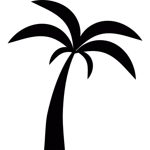 512x512 Palm Tree