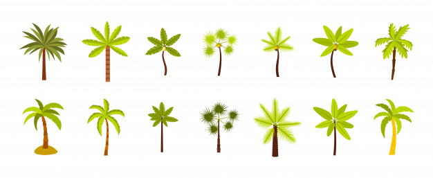 626x257 Palm Tree Icon Set Flat Set Of Palm Tree Vector Icons Collection