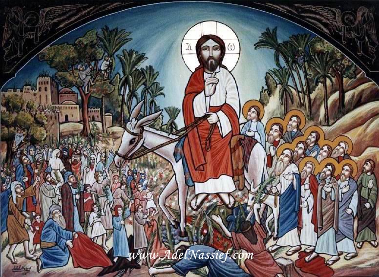 776x567 Palm Sunday Sign Of The Rose