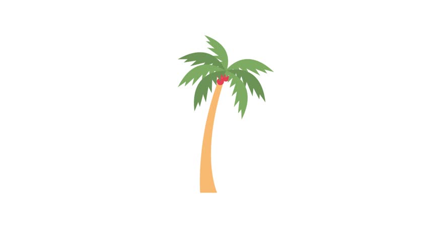 852x480 Palm Tree Icon Animation Cartoon Stock Footage Video