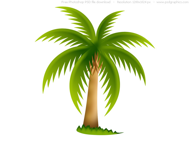 610x458 Palm Tree, Web Icon Psdgraphics
