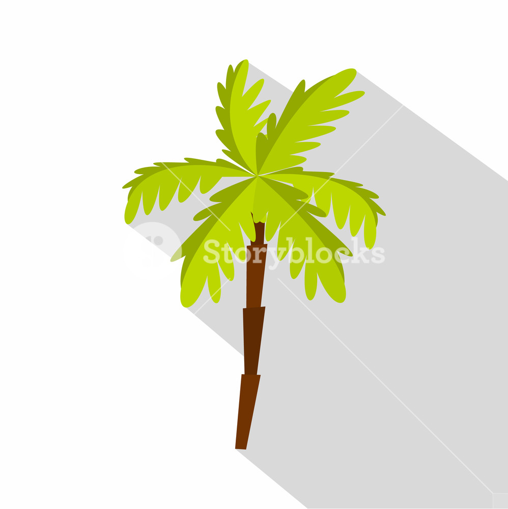 998x1000 Palm Tree Icon Flat Illustration Of Palm Tree Vector Icon For Web