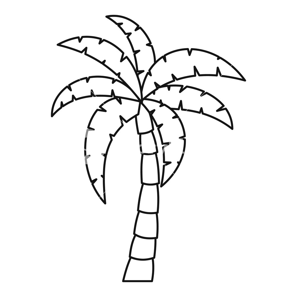 1000x1000 Palm Tree Icon Outline Illustration Of Palm Tree Vector Icon