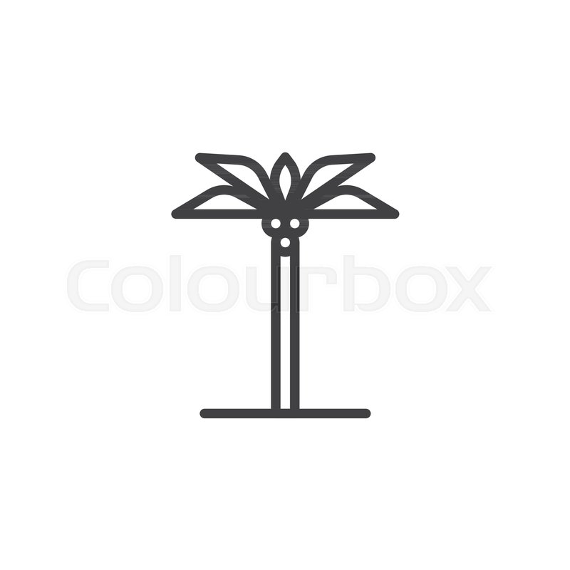 800x800 Palm Tree Outline Icon Linear Style Stock Vector Colourbox