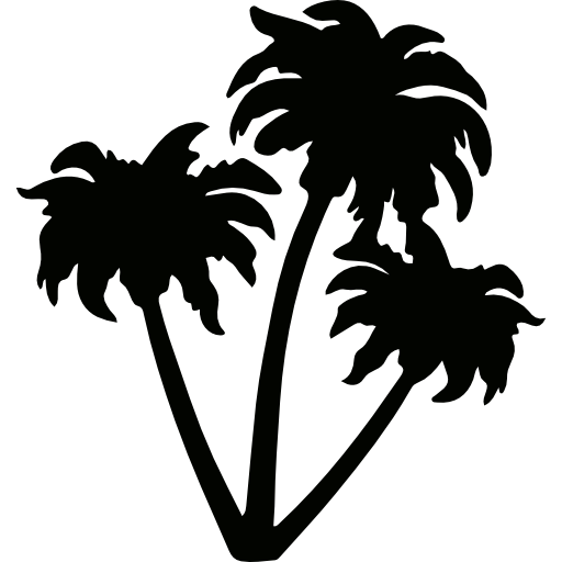512x512 Palm Trees Icons Free Download