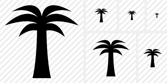580x290 Palmtree Icon Symbol Black Professional Stock Icon And Free Sets