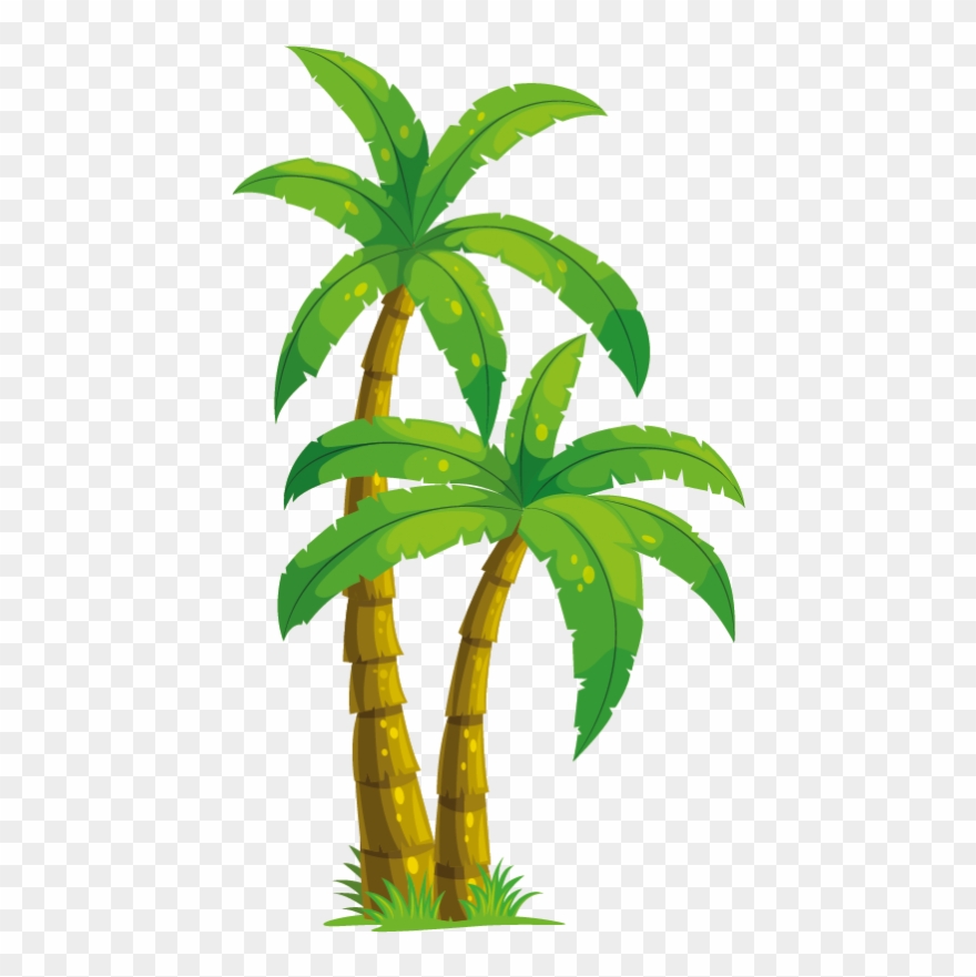 880x881 The Gallery For Gt Palm Tree Icon Png Trees Clip Art