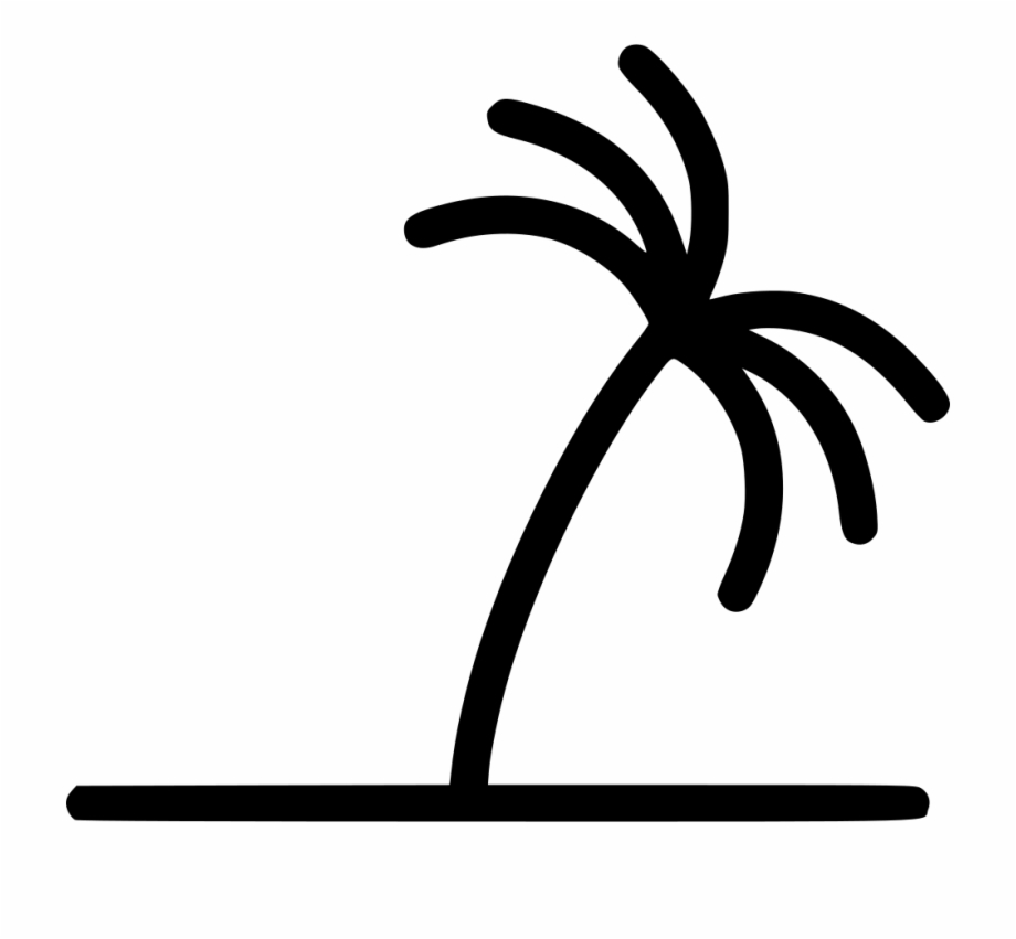 920x851 Palm Tree Comments