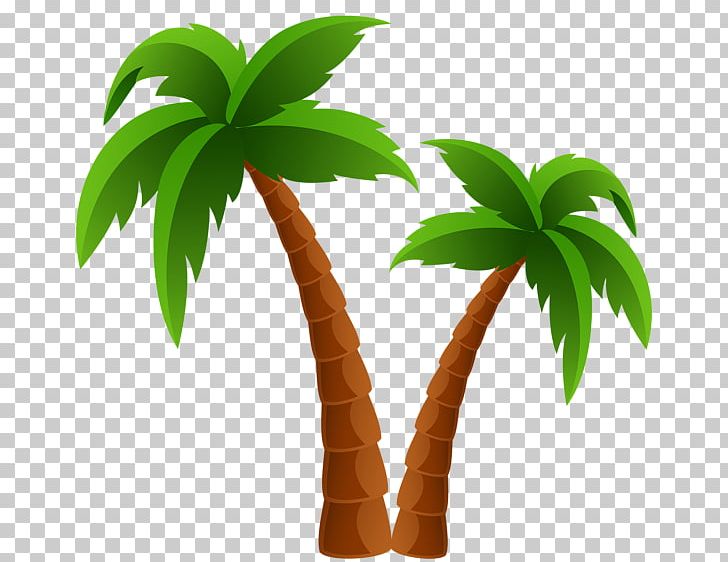 728x562 Christmas Palm Trees Open California Palm Png, Clipart, Arecaceae