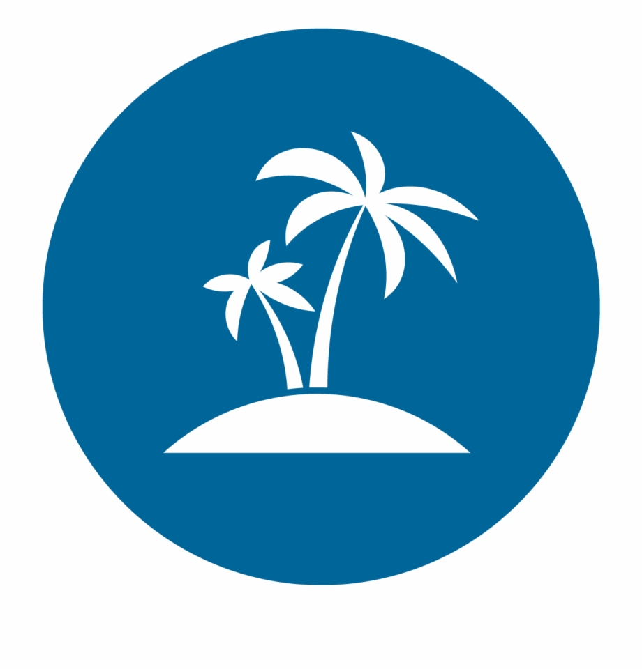 920x960 Palm Tree Icon Png Download