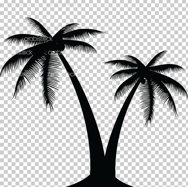 728x724 Coconut Graphics Portable Network Graphics Palm Trees Png, Clipart