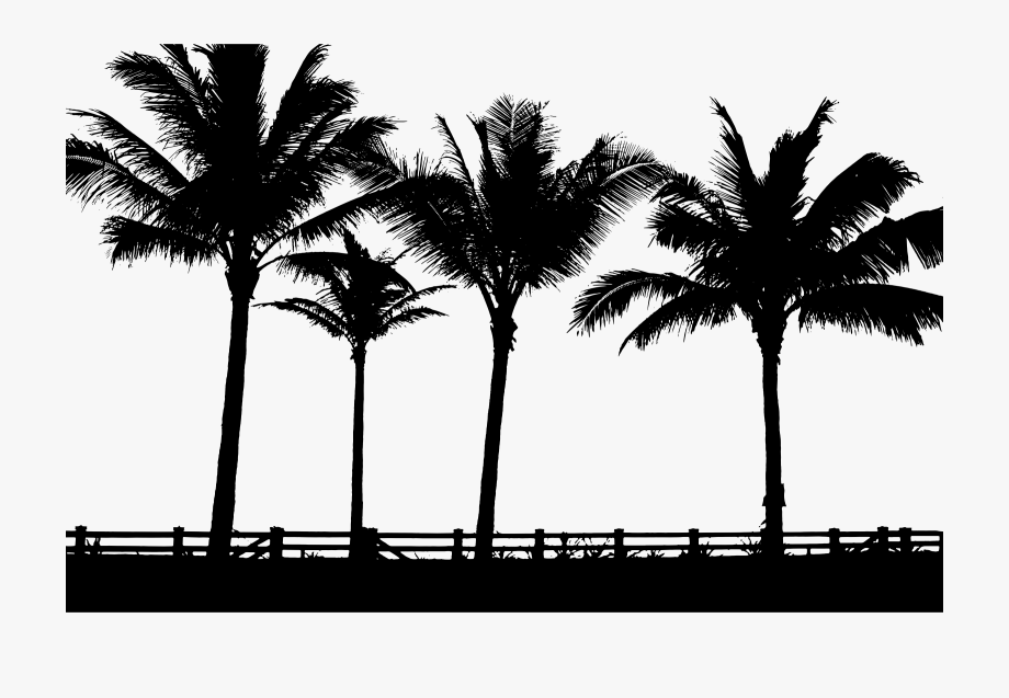 920x637 Palms Silhouette Icons Png Free And Downloads