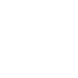 256x256 White Palm Tree Icon