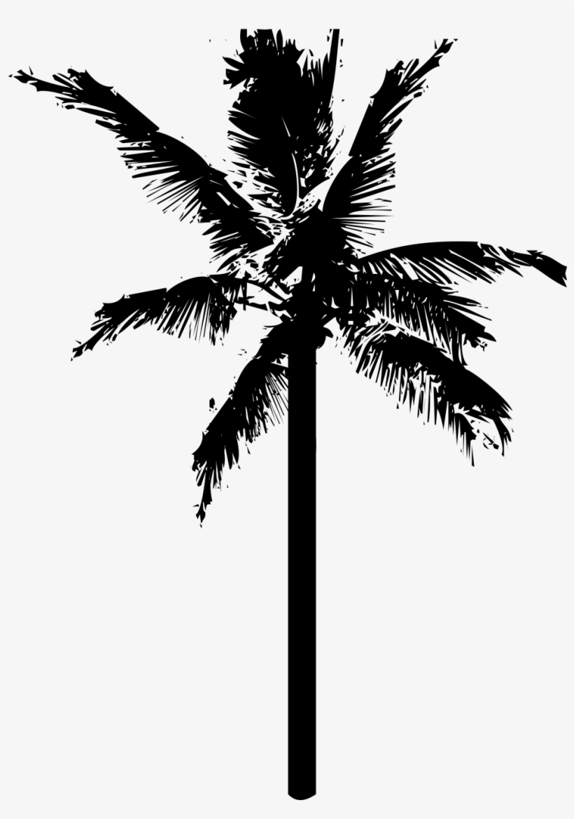 820x1169 Download Free Png White Palm Tree Png Coconut Tree Png Icon Free