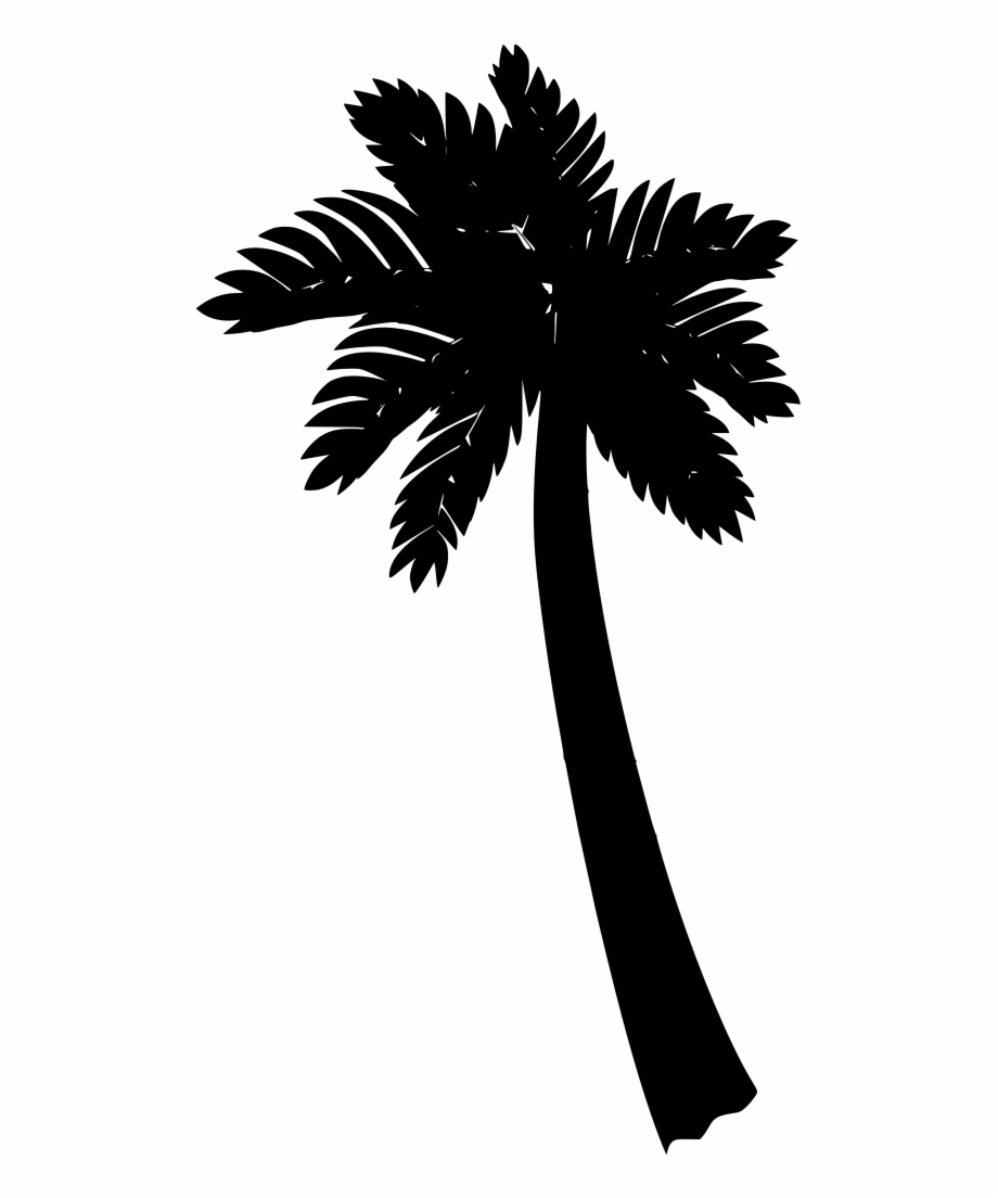 920x1104 Download Png