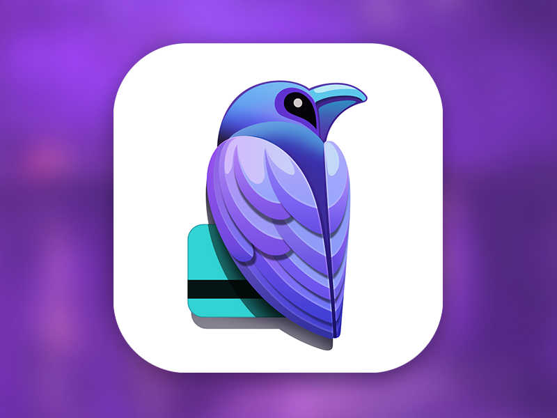 800x600 Raven Ios App Icon