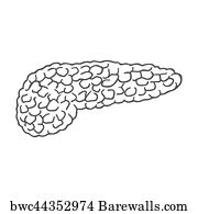 Pancreas Icon