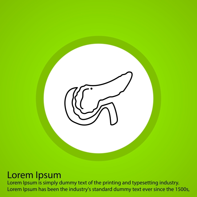 640x640 Pancreas Icon For Your Project, Pancreas, Gallbladder, Medical Png