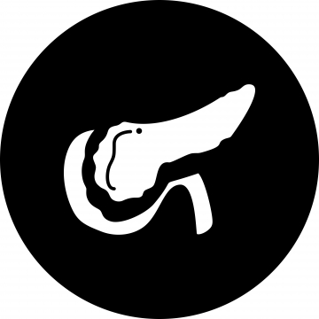 360x360 Pancreas Icon Png Images Vector And Free Download
