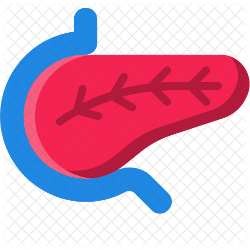 512x512 Pancreas Icon Of Flat Style