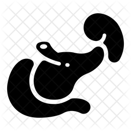 256x256 Pancreas Icon Of Glyph Style