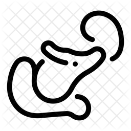 256x256 Pancreas Icon Of Line Style