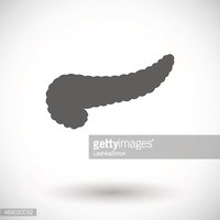 200x200 Pancreas Icon Stock Vectors