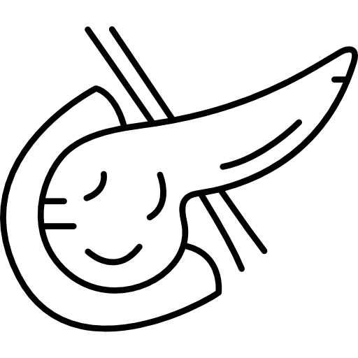 512x512 Pancreas Icons Free Download