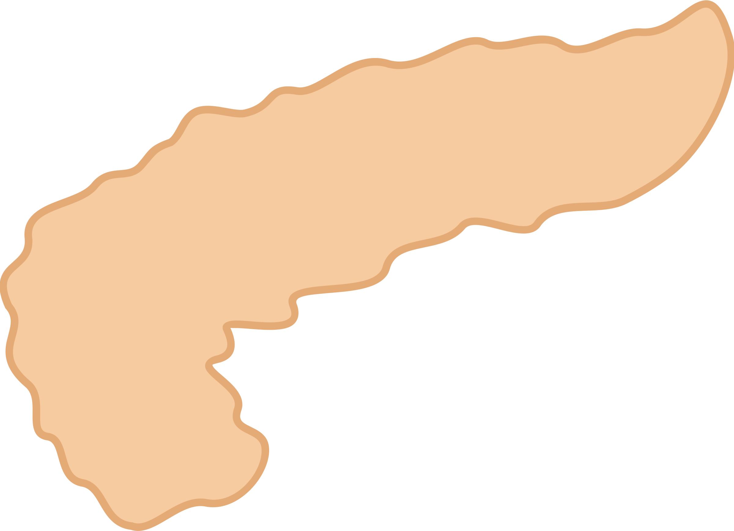 2400x1739 Pancreas Icons Png