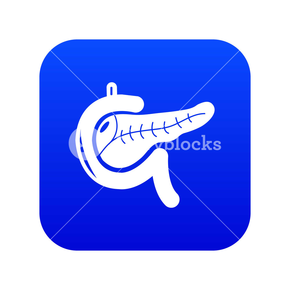 1000x1000 Pancreas Icon Blue Vector Isolated On White Background Royalty