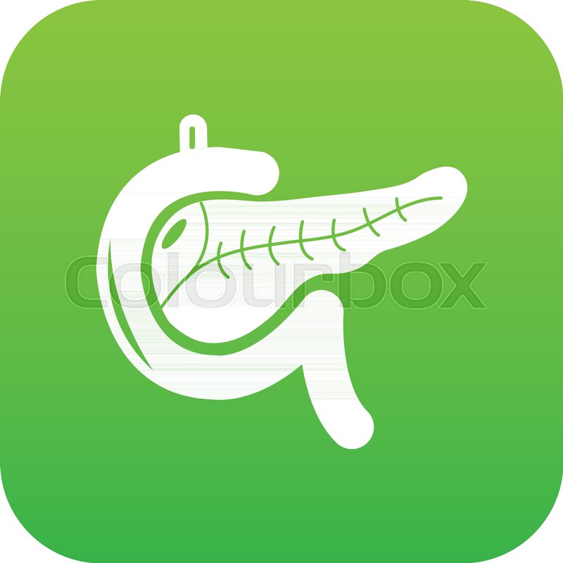 800x800 Pancreas Icon Green Vector Isolated On Stock Vector Colourbox