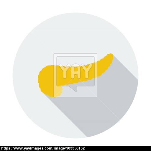 512x512 Pancreas Icon Vector