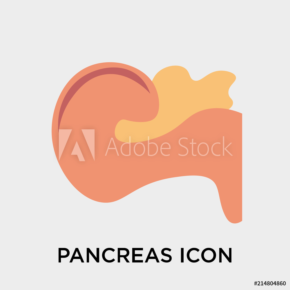 1000x1000 Photo Art Print Pancreas Icon Vector Sign And Symbol Isolated